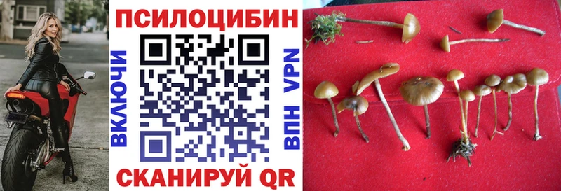 Галлюциногенные грибы прущие грибы  Купить где  Лобня 